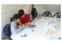 건축학부 박시온 2015 강동 자유학기제 진로체험 페스티벌 체험관 강사 참여
